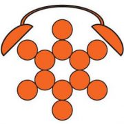 Да събудим строителството