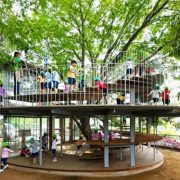 Детска градина в Япония се увива около 100-годишно дърво