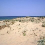 Картите на дюните ще струват 64 000 лева
