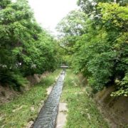 София с парк и край Перловската река