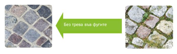 fuga-star-nov-nacin-semmelrock