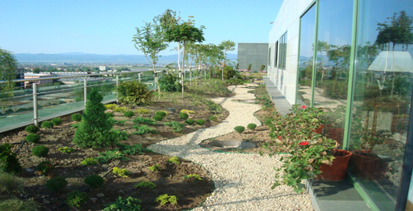 есха зелен покрив