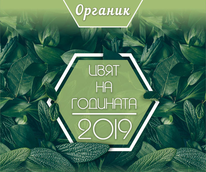 Цвета на 2019-та година